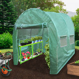 Grüner Polytunnel 3m x 2m mit transparenten Fenstern und Regalen, ideal für Pflanzenanbau, umgeben von üppigem Grün und Erde