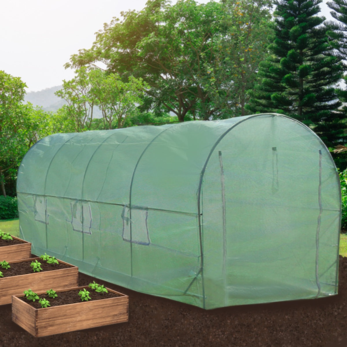 Polytunnel aus 25mm starkem Material, 6m x 3m, in transparentem Grün, ideal für Pflanzenanbau, mit Regalen für optimale Nutzung des Innenraums
