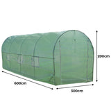Polytunnel in grün mit 25mm Rahmen, 6m lang und 3m breit, ausgestattet mit Regalen für Pflanzen, ideal für Gartenliebhaber und Anbau