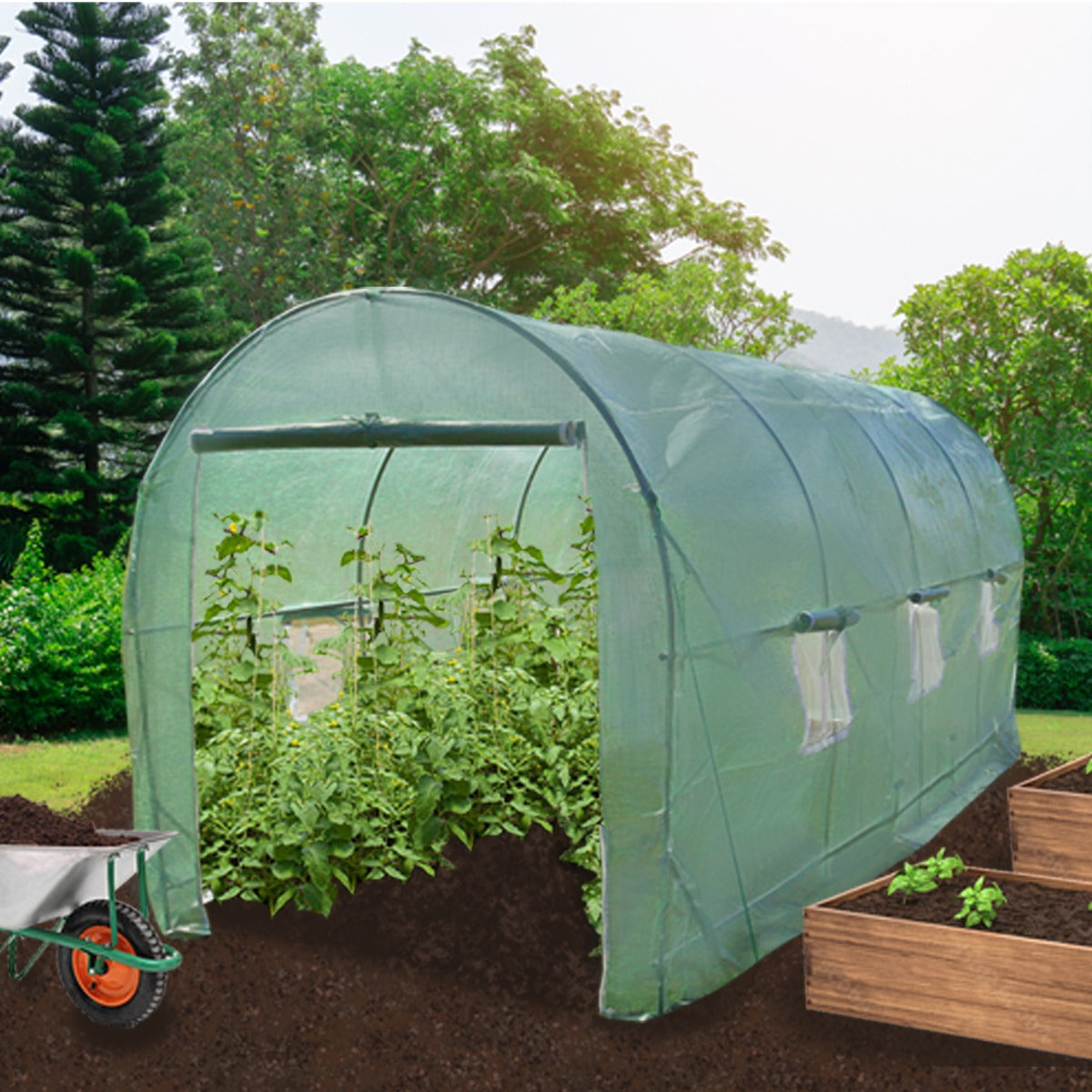 Transparenter Polytunnel aus 25 mm dickem Material, 6m x 3m, mit grünen Pflanzen, umgeben von Erde und Gartenbeeten, ideal für den Anbau