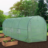 Transparenter Polytunnel aus 25 mm dickem Material, 6m x 3m, mit grüner Abdeckung, ideal für den Anbau von Pflanzen und Gemüse im Garten