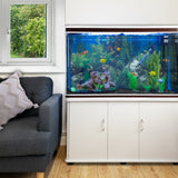 Aquarium Komplettset mit weißem Unterschrank, schwarzem Kies, bunten Fischen und lebendiger Pflanzenlandschaft, platziert neben einem grauen Sofa