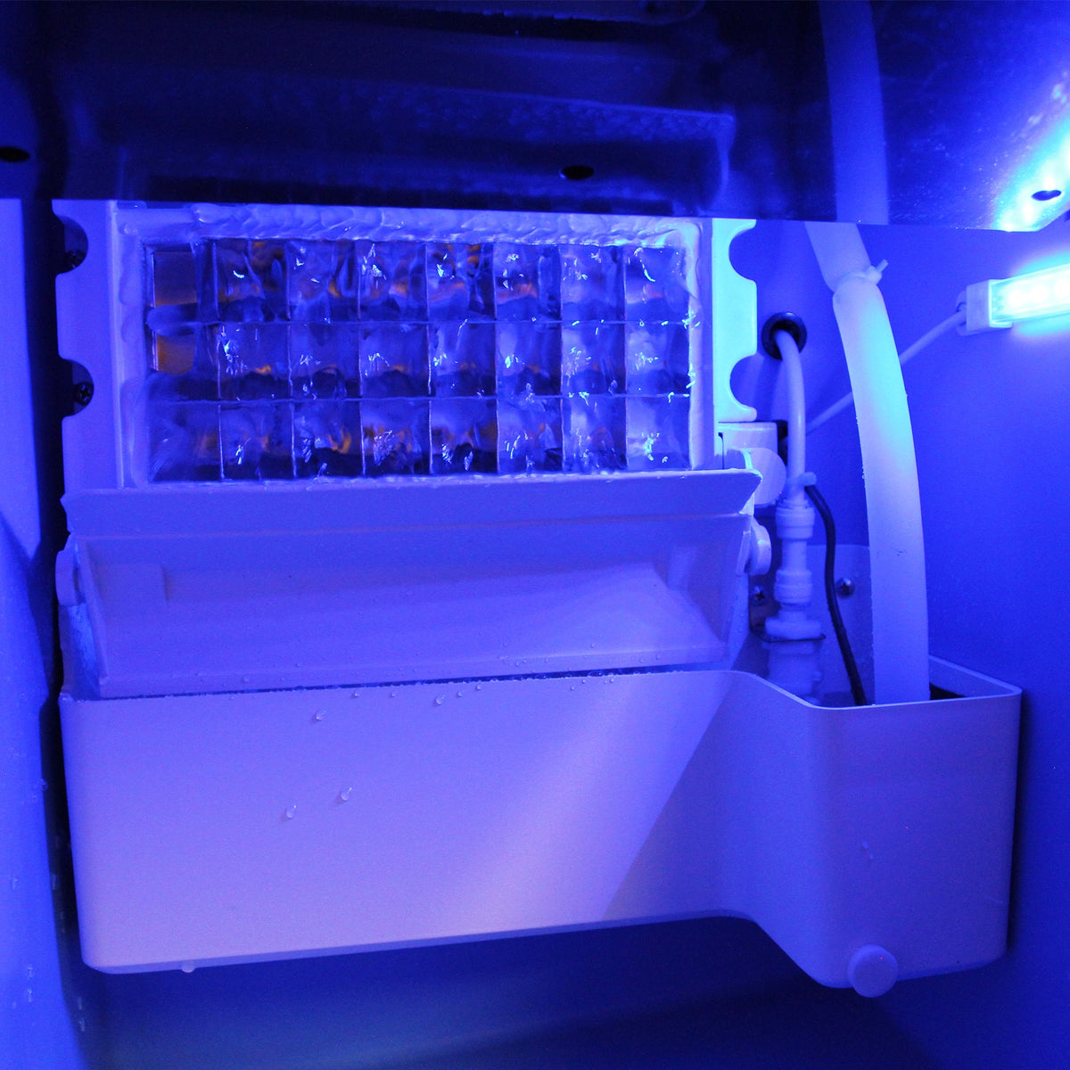Die KuKoo Eismaschine zeigt einen transparenten Eiswürfelbehälter mit 24 Würfeln, umgeben von blauer LED-Beleuchtung und glänzendem Edelstahl