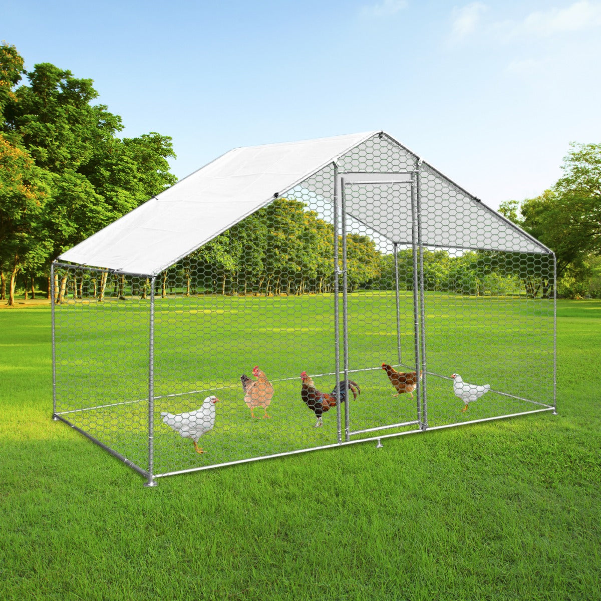 Hühnerfreilauf aus verzinktem Stahl, 4m x 2m x 2m, mit Netz und schrägem Dach, umgeben von grünem Gras und Bäumen, ideal für die Haltung von Hühnern